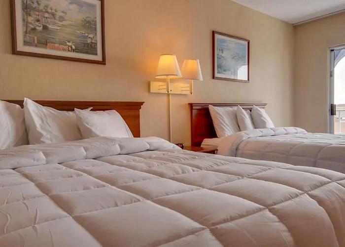 Ocean 1 & Ocean Hotel 2*